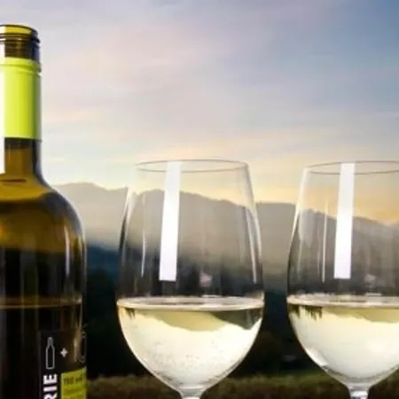 Der Sonnenhof - Steinbergstein *