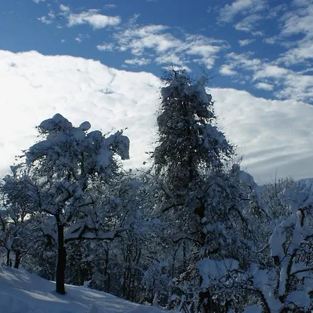 Apartment Steinbergstein *