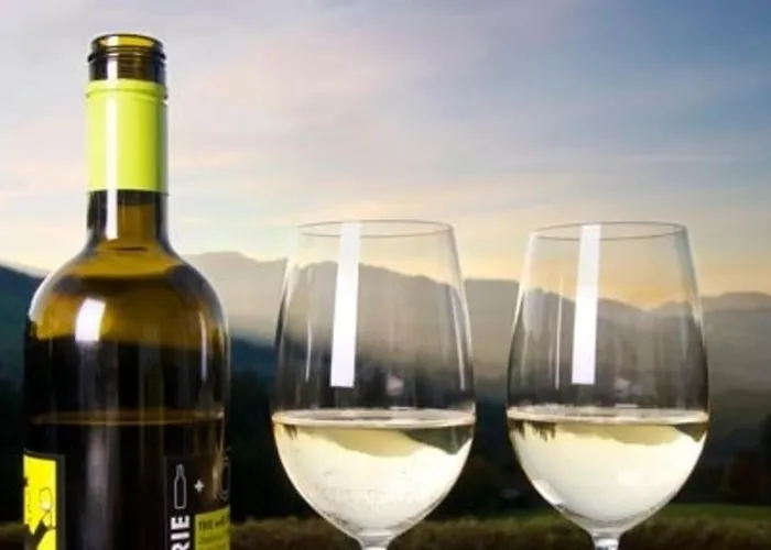 Der Sonnenhof - Steinbergstein *