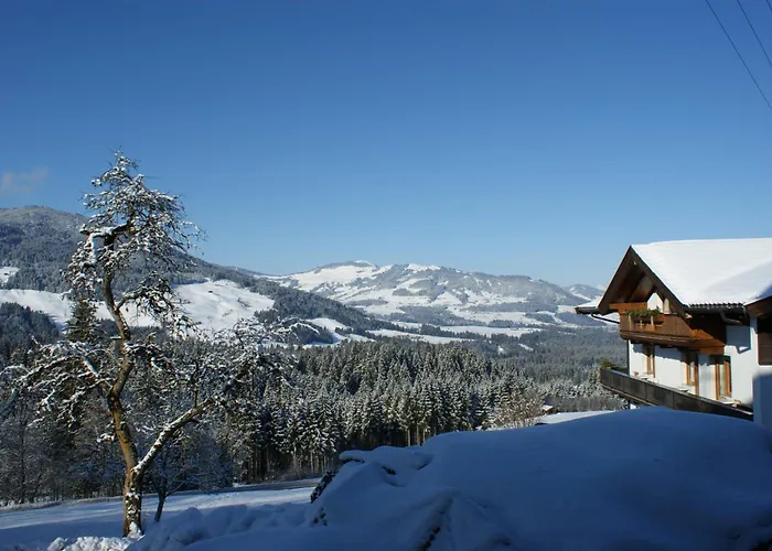 Appartement Der Sonnenhof - Steinbergstein Westendorf